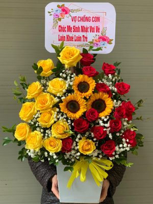 Giao Hoa Tận Nơi Tại Nông Trường Việt Lâm, Vị Xuyên, Hà Giang